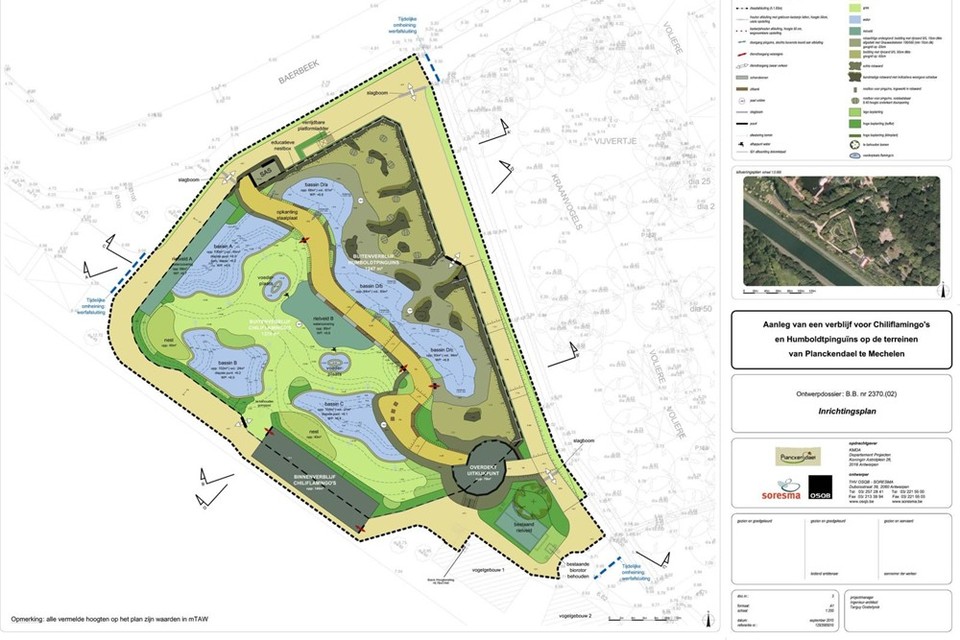 Pinguins Ruilen De Zoo Voor Planckendael Mechelen Gazet Van Antwerpen Mobile