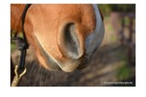 thumbnail: null