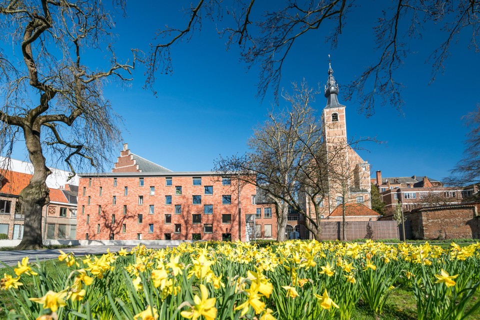 De stad roept de Mechelaars om op mee te werken aan de grootste bloemenweide van de Benelux.