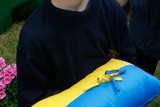 thumbnail: null