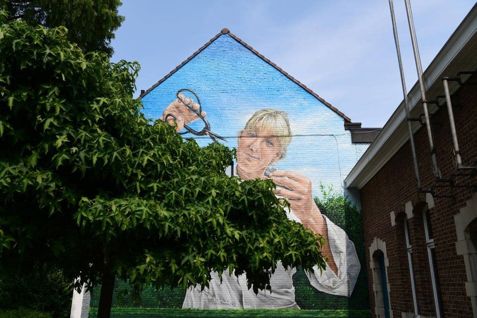 Streetart van artiest Smok in de Turkooisstraat in Berchem.