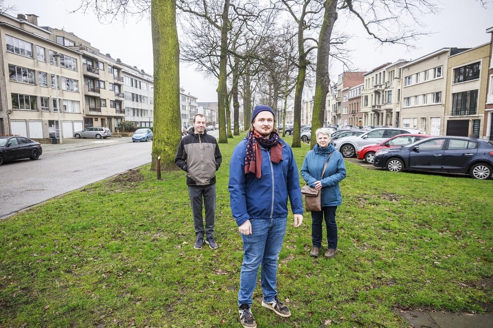Bewoners Wim Gevers, Lode Daelemans en Ann Barrea van buurtcomité Het Juiste Spoor. De meest linkse boom, achter Wim, is de toekomstboom die wellicht moet verdwijnen voor de aanleg van de tramsporen.