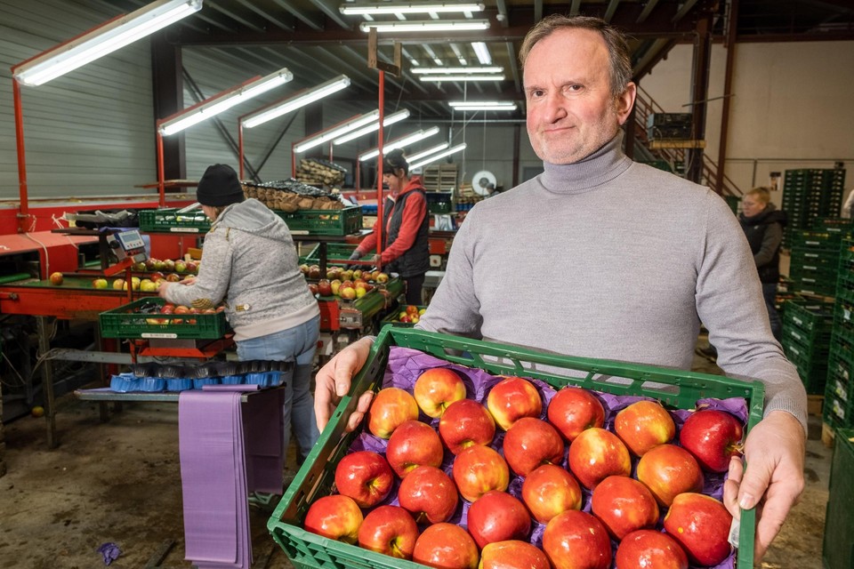 Tuinbouwer Frans Verhelst uit de Molenstraat in Zwijndrecht.
