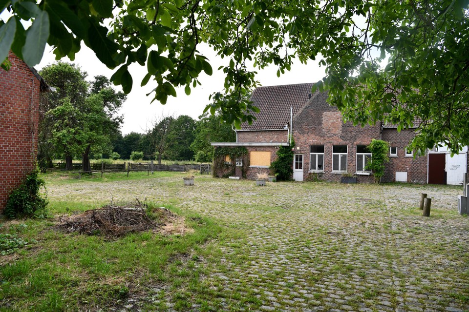De kinderboerderij in Wilrijk. 