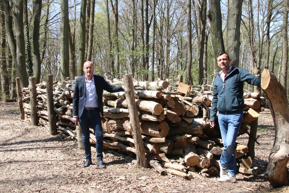 Burgemeester Peter Gysbrechts (Lijst Burgemeester) en schepen Jeroen De Cuyper (N-VA) bij een takkenril op Beerzelberg