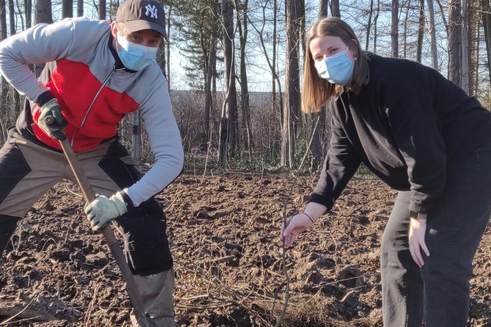 Twee leden van de Chiro in Gierle breiden met nieuwe boompjes het speelbos aan de Molenvelden uit.