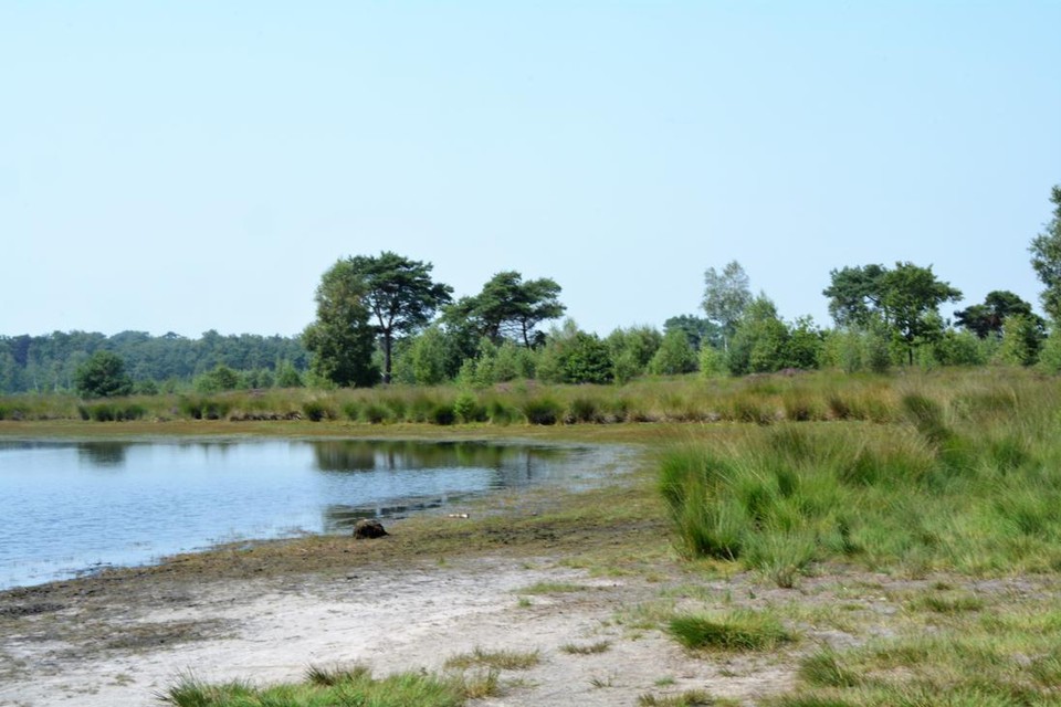 Voor Grenspark Kalmthoutse Heide is het nu afwachten of de kandidatuur als Nationaal Park geselecteerd wordt.