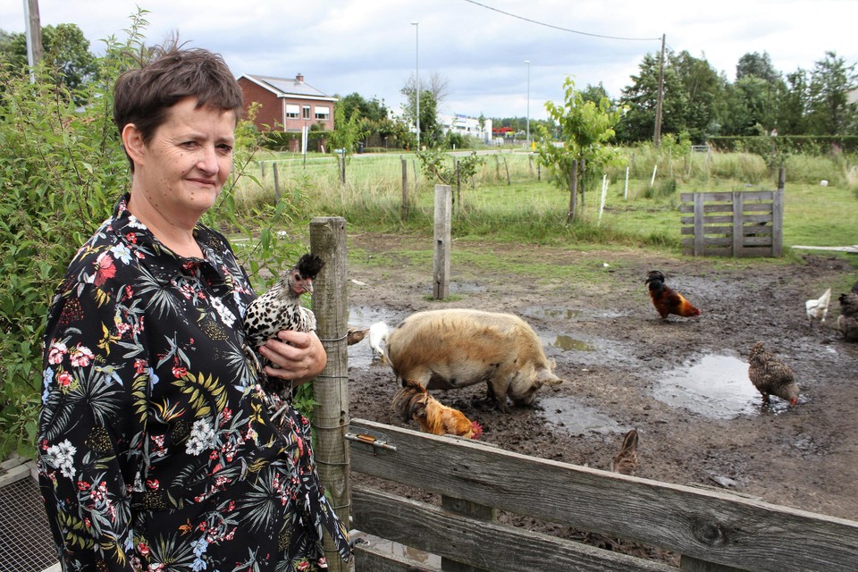 Brigitte Schorrewegen met een appelzeller spitskuif in de hand.