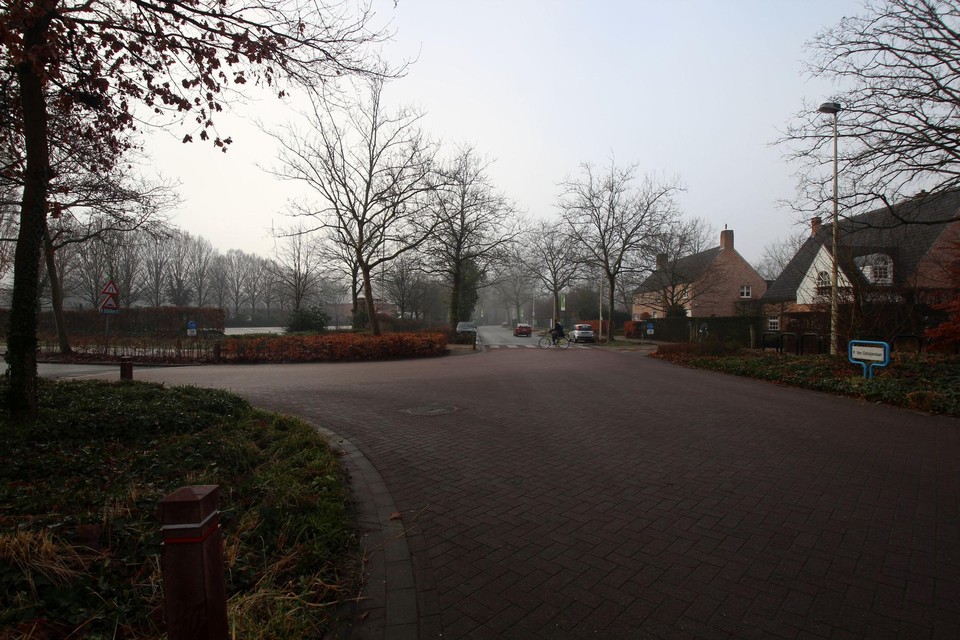 De Paul van Ostaijenlaan moet veiliger.