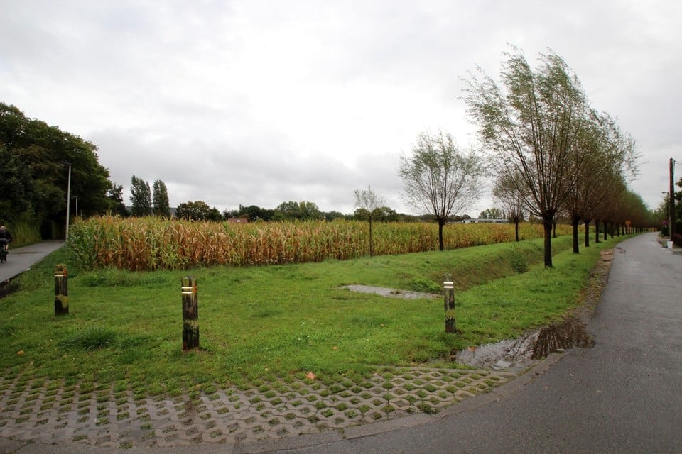 In de Heihoefseweg komen 62 nieuwe woningen en een park.