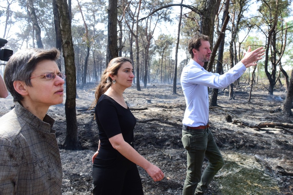 beheerder Bas Van der Veken loodst Zuhal Demir en provinciegouverneur Cathy Berx (links) door de zwartgeblakerde natuur van Landschap De Liereman.
