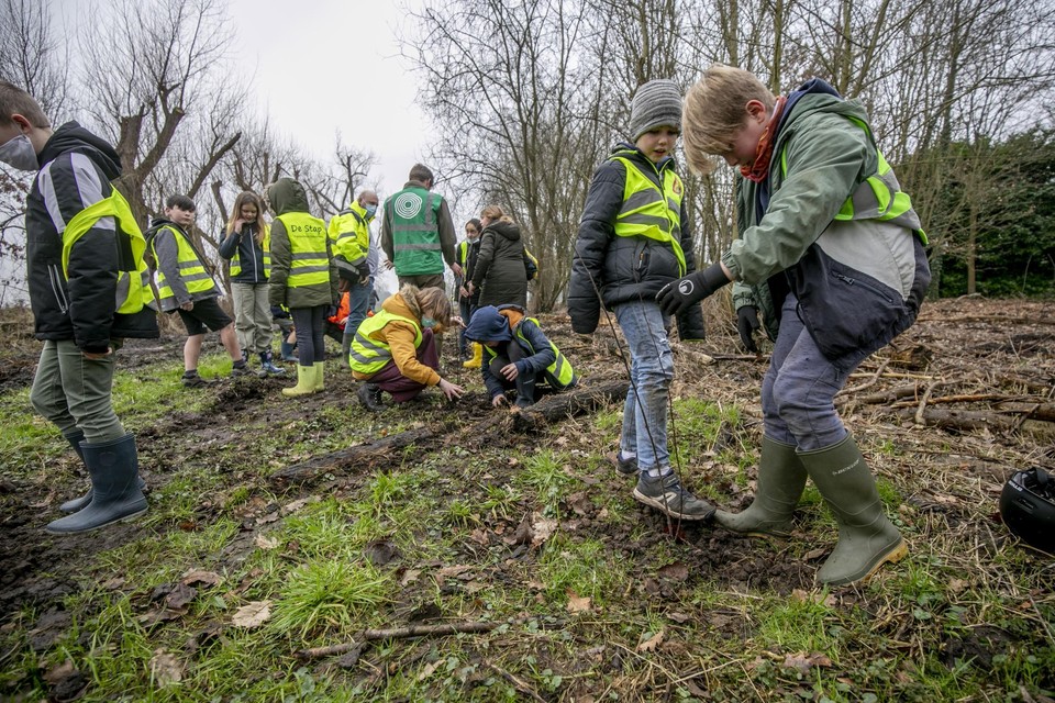 Samen met Bosgroep Antwerpse Gordel zorgden de leerlingen van De Stap voor 250 extra bomen. 