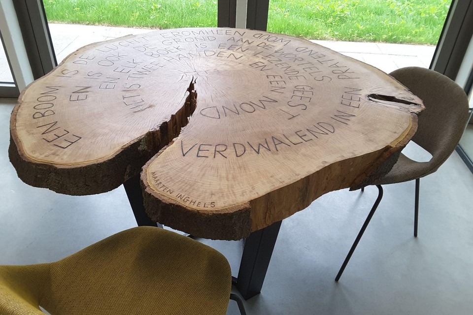De beuk stond tot zes jaar geleden in de tuin van Huis Hellemans.