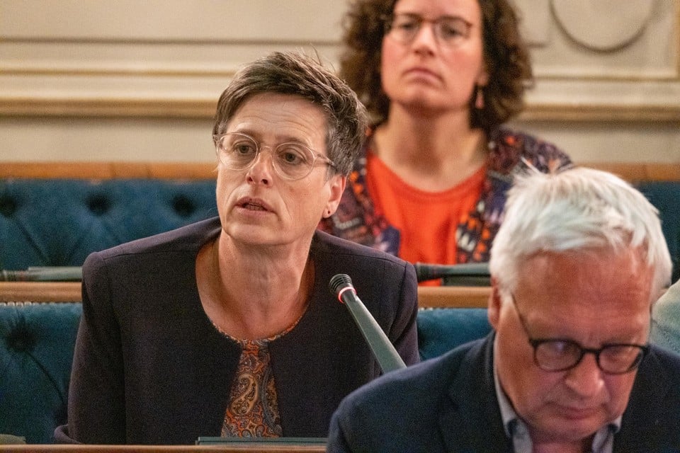 Antwerps PVDA-gemeenteraadslid Mie Branders. 