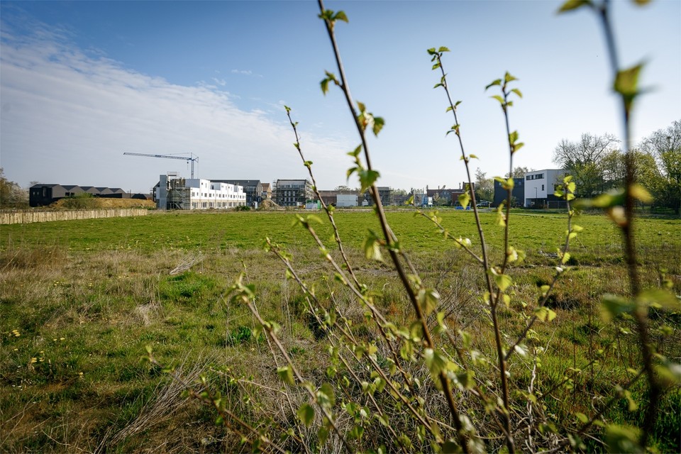 De stad belooft om in Spreeuwenhoek-Venne in Muizen werk te maken van een groenere invulling. 