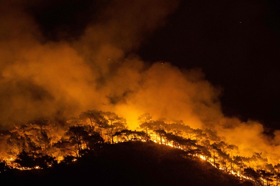 Er woeden stevige bosbranden in Italië en Turkije 