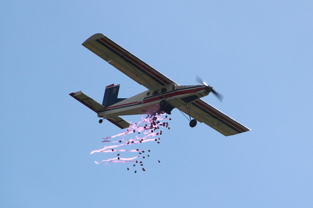 Bloedbad maximaal neem medicijnen Modelvliegtuigen lossen 30 kilo paaseieren vanop 50 meter hoogte | Gazet  van Antwerpen Mobile