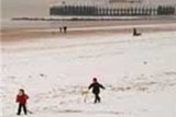 thumbnail: null