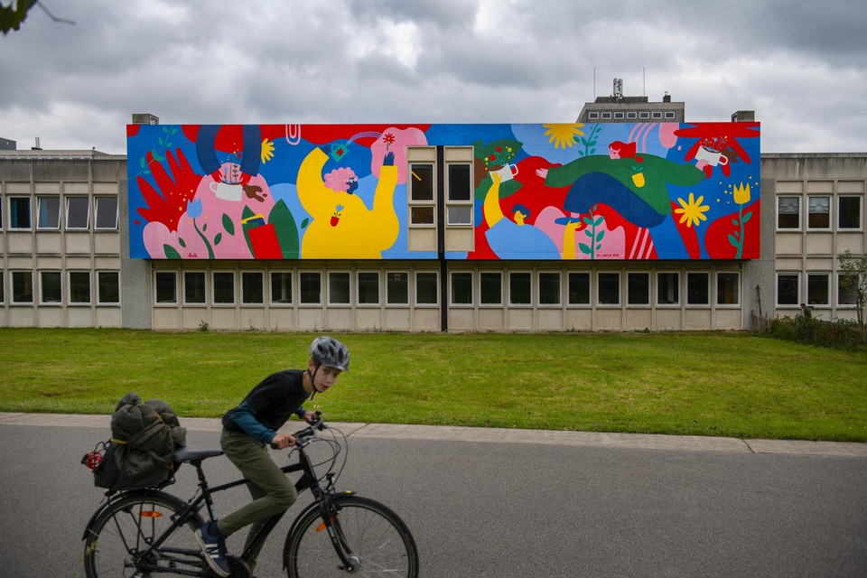 Een kleurrijk schilderij dat de buurt rond campus Arenberg opvrolijkt,  maar daar blijft het dan ook bij. 