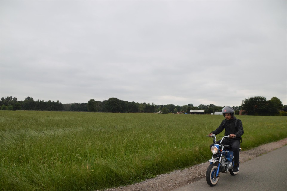 Voorlopig blijft deze wei aan de Fatimalaan grasland.