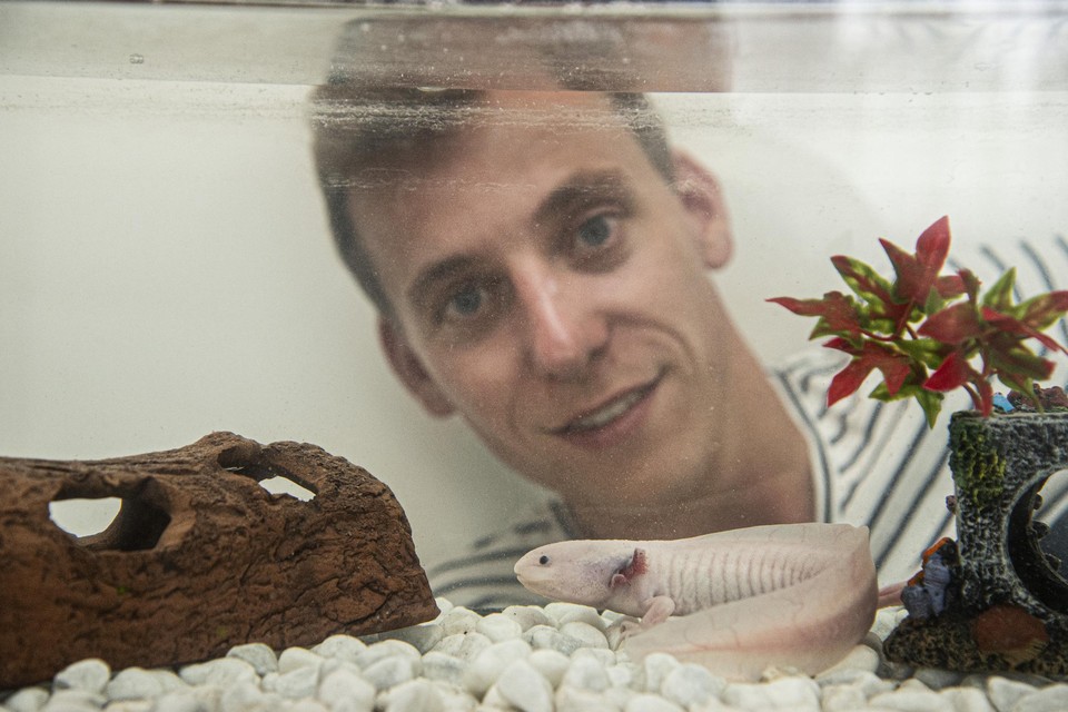 “Ik vind een axolotl om een of andere reden keifantastisch.”