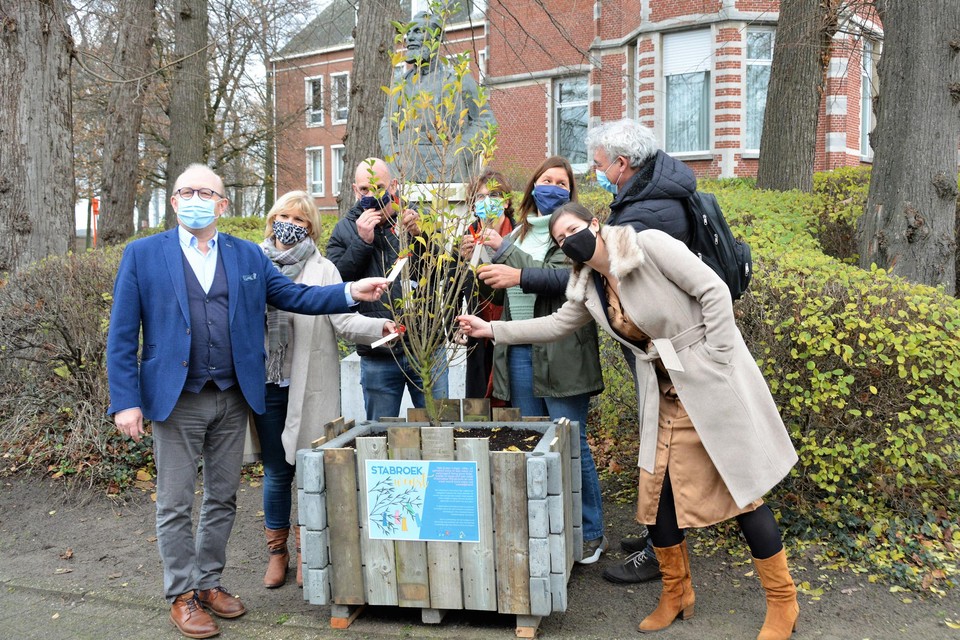 Burgemeester en schepenen mochten als eersten hun wensen in de boom hangen.