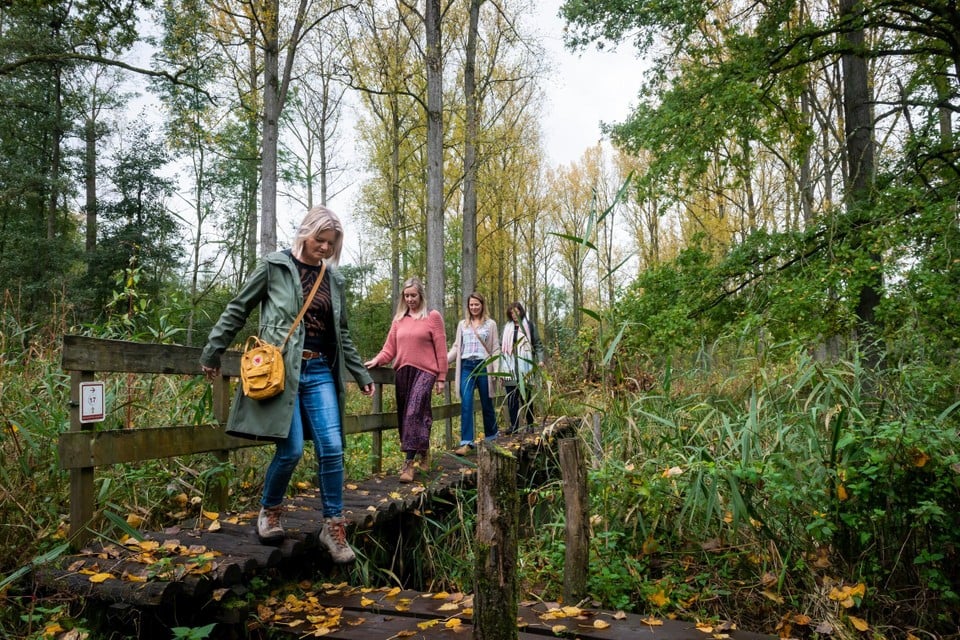 Vooral wandelen in de Kempen blijkt het populairst bij dagjesmensen. 
