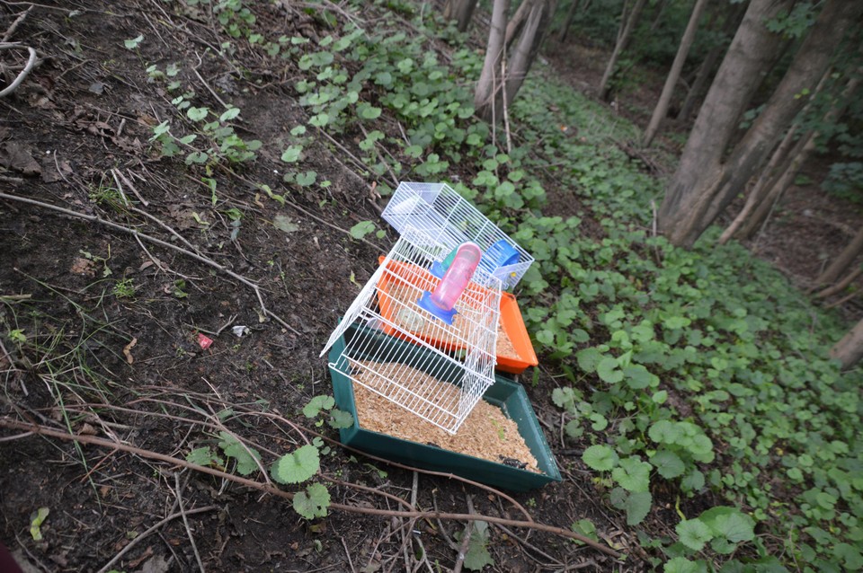 De gedumpte kooien.
