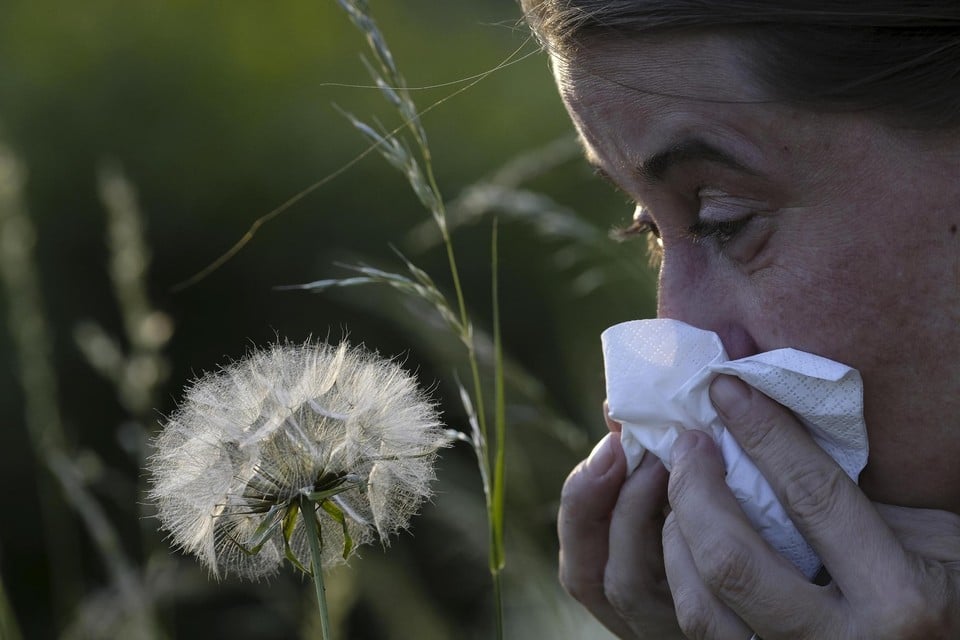 “Het is een bijzonder zwaar voorjaar voor mensen met allergieën”, stelt Sciensano. 