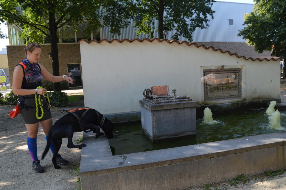 Een canicrosser met hond.