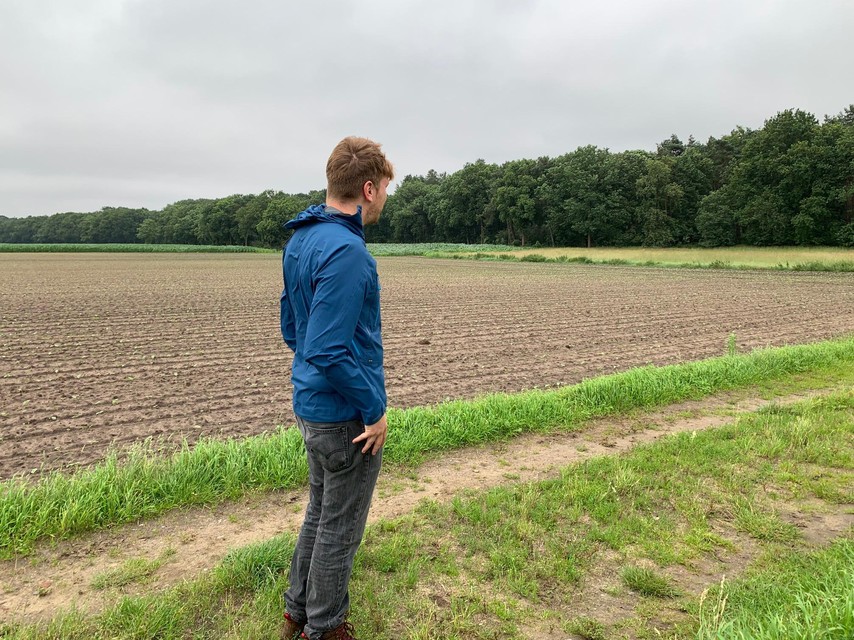 Wandelen langs landbouwgebied