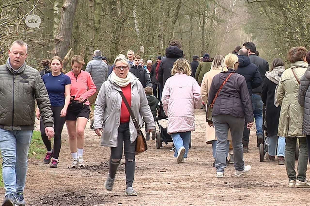 Coronacrisis leidt tot overrompeling in Kalmthoutse Heide (Kalmthout) - Gazet van Antwerpen Mobile