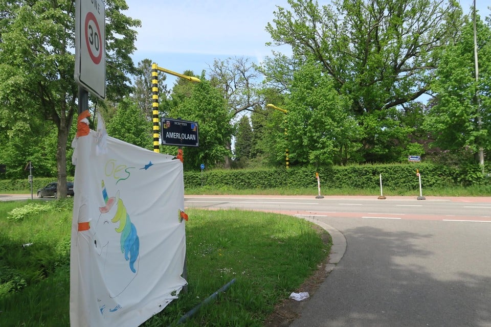 Op deze plek, over de Horstebaan richting Amerlolaan, komt het zebapad. Het spandoek houdt de herinnering aan Loes levend.