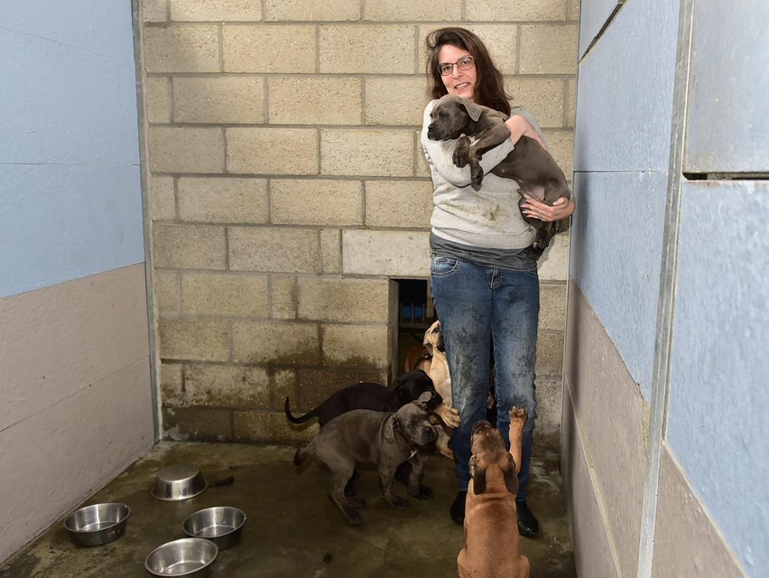 Wendy with some of the rescued puppies. 