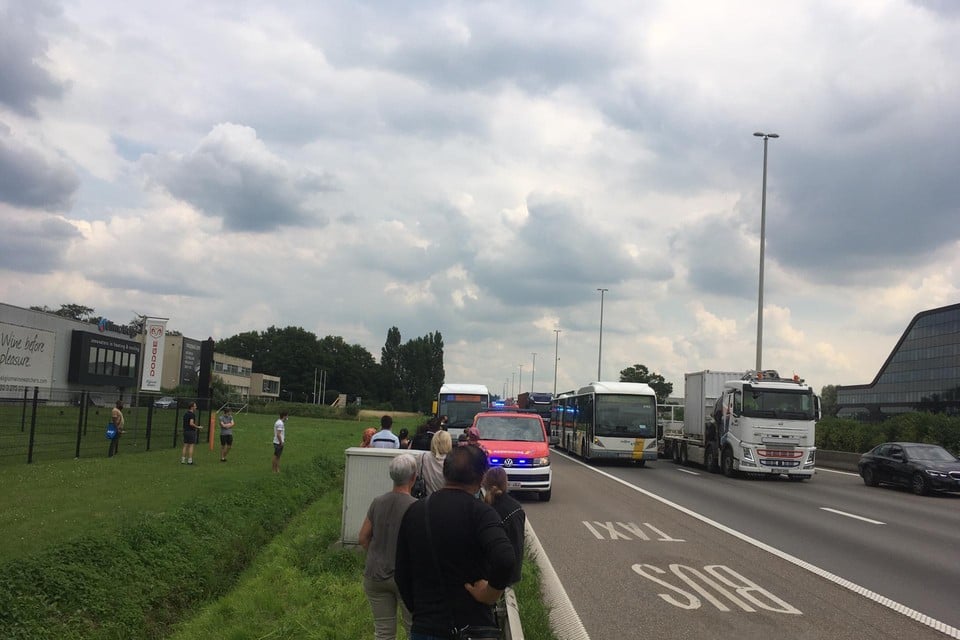De bus heeft zich op de pechstrook van de E313 gezet tussen Ranst en Wommelgem.