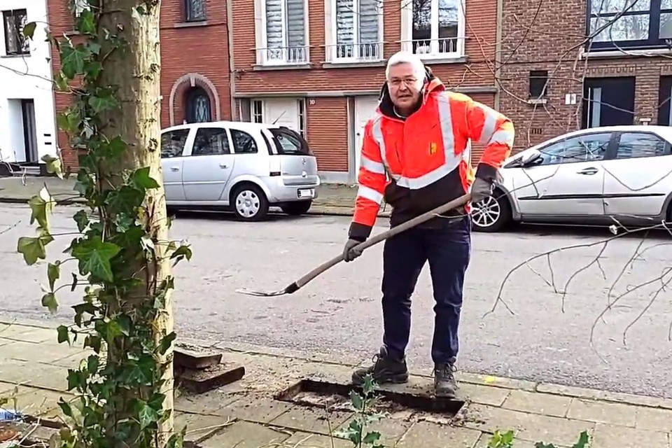 Burgemeester Bart Van Couwenberghe wipt de eerste tegels in Hove.
