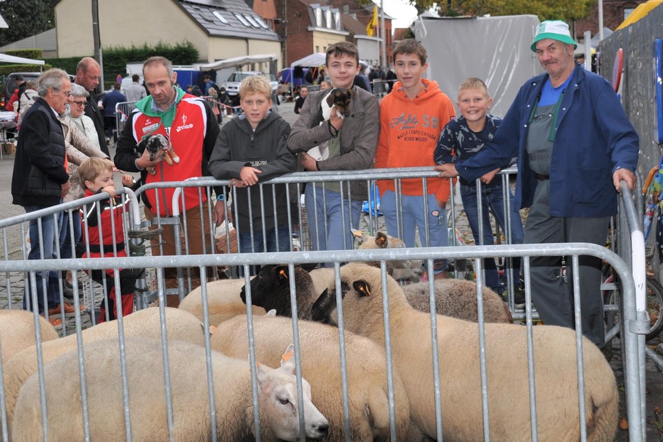 Ook schapen en kleine huisdieren zijn te bewonderen tijdens de 67ste jaarmarkt in Sint-Anna. 