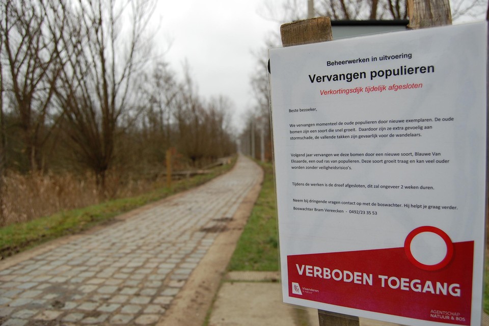 Populieren Gekapt Omdat Ze Onveilig Zijn Voor Wandelaars Gazet Van Antwerpen Mobile