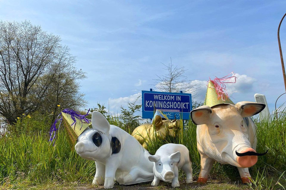 De Dorpsraad pimpte al enkele kunstvarkens als voorbeeld.