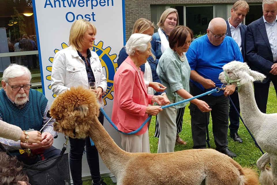 De bewoners kunnen de lieve alpaca’s knuffelen en voederen.