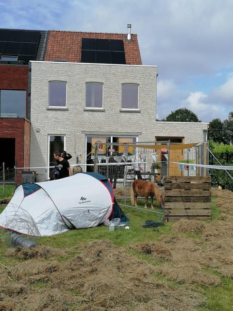 花园里有帐篷和小马，还有干草，N-VA 候选人正在观看新婚之夜。