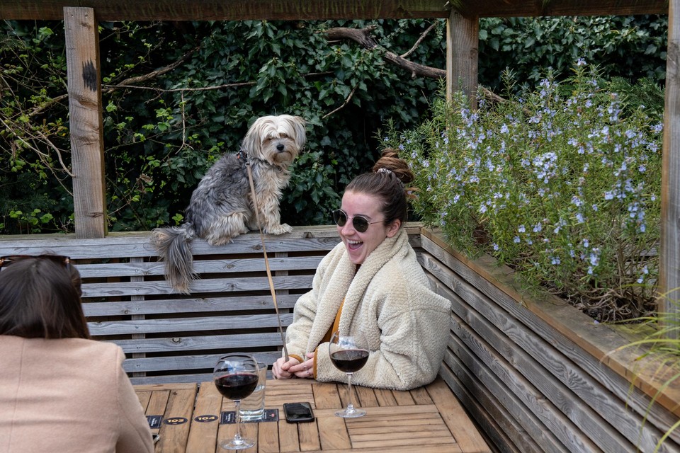 Rosie, Rachel en Boo genieten na de heropening van de pubs met volle teugen van een glas wijn op het terras van The duke of Kent in Londen 