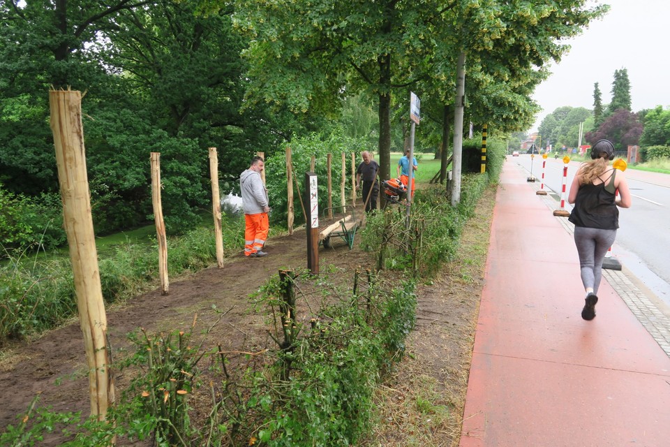 Het nieuwe wandelpad loopt vanaf de historische toegangspoort van het Vordenstinpark naast de Eethuisbeek tot aan de Horstebaan. De hoge haag werd ter hoogte van de Amerlolaan gedeeltelijk verwijderd om een wachtzone te creëren voor een nog te schilderen zebrapad.