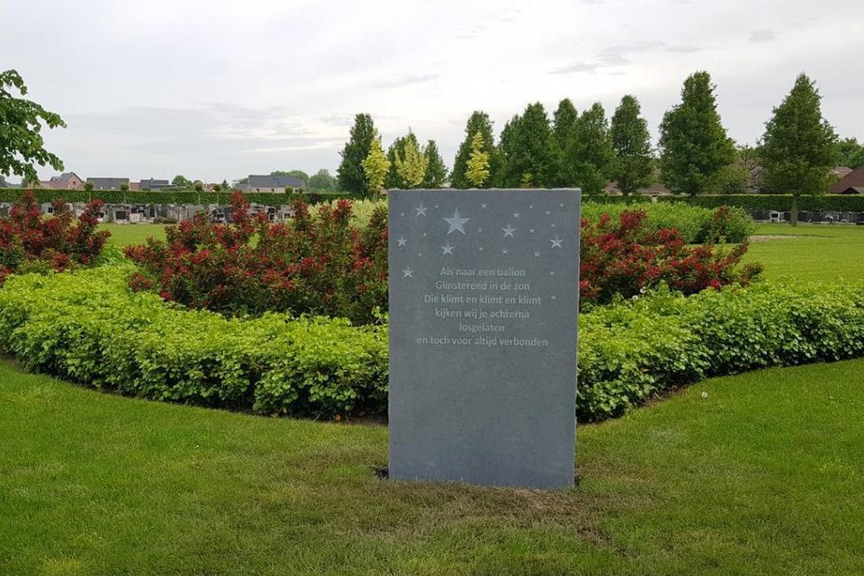 Ouders kunnen sterrenkindjes laten registreren (Rijkevorsel) Gazet