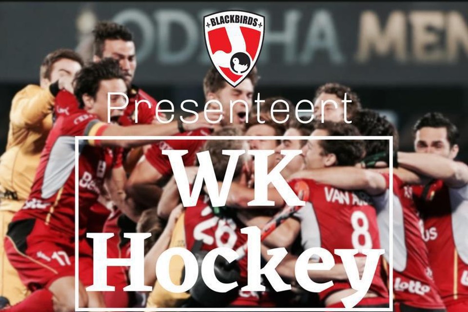De sfeer van het WK hockey kan je de komende weken beleven bij HC Blackbirds in Massenhoven, met tal van acties. 