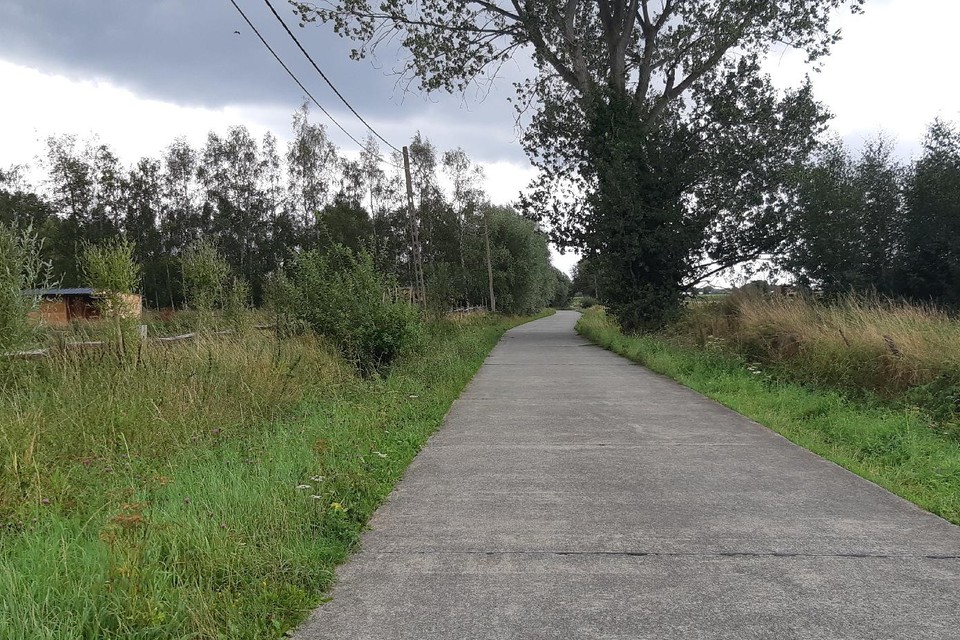 Ebroek is een smalle straat tussen Alflaar en Meistraat. In deze straat komt de allereerste hondelosloopweide.