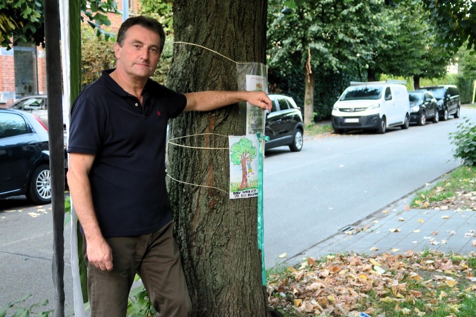 Bewoner en fel tegenstander van de kap Marc Van Wesepoel bij één van de bedreigde bomen voor z’n eigen woning