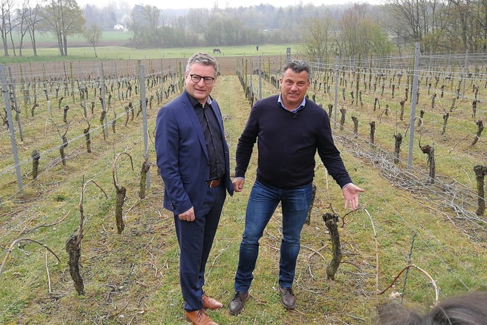 Jan Willekens (rechts) toont minister Koen Van den Heuvel zijn wijnranken. Vlaanderen investeert 400.000 euro in de verwerving van wijndomein Ten Kapittelberg door Kempens Landschap en provincie Antwerpen. 