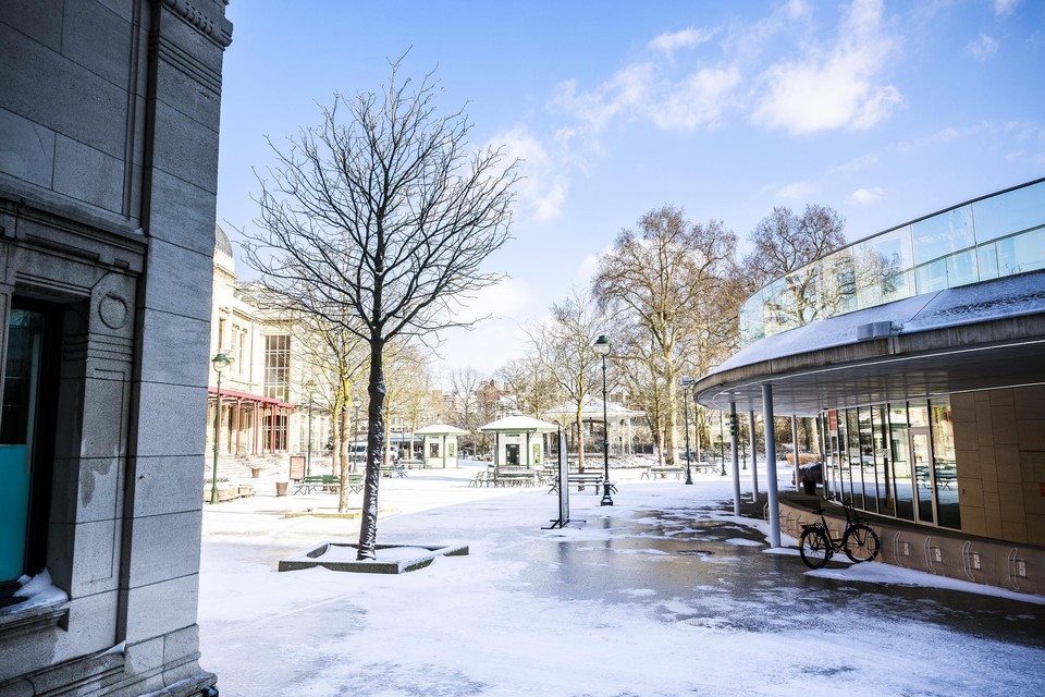 Het Flamingoplein van de Antwerpse Zoo ligt er voorlopig nog verlaten bij, maar vanaf zaterdag is iedereen weer welkom.