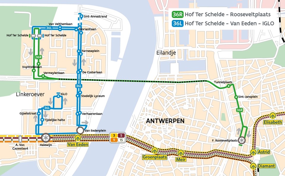 De Lijn knipt buslijn 36 in tweeën: “Niet langer tijdverlies aan Waaslandtunnel” | Gazet Antwerpen Mobile